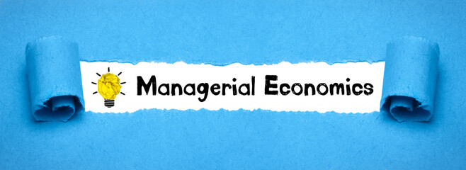 Managerial Economics