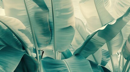 A serene, high-resolution background featuring large banana leaves with a soft, muted color palette