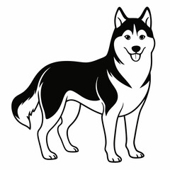 Siberian Husky dog vector illustration of a dog,animal,