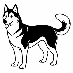 Siberian Husky dog vector illustration of a dog,animal,