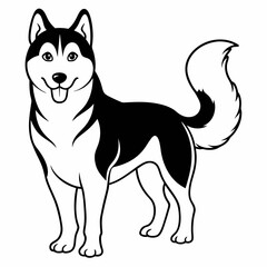 Siberian Husky dog vector illustration of a dog,animal,