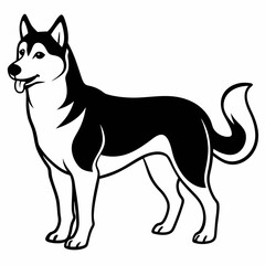 Siberian Husky dog vector illustration of a dog,animal,