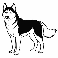 Siberian Husky dog vector illustration of a dog,animal,