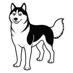 Siberian Husky dog vector illustration of a dog,animal,