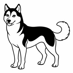 Siberian Husky dog vector illustration of a dog,animal,