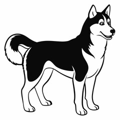 Siberian Husky dog vector illustration of a dog,animal,