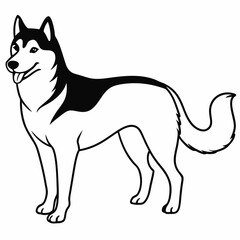 Siberian Husky dog vector illustration of a dog,animal,
