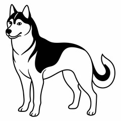 Siberian Husky dog vector illustration of a dog,animal,