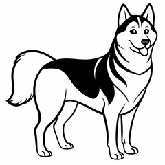 Siberian Husky dog vector illustration of a dog,animal,