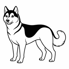 Siberian Husky dog vector illustration of a dog,animal,