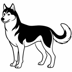 Siberian Husky dog vector illustration of a dog,animal,