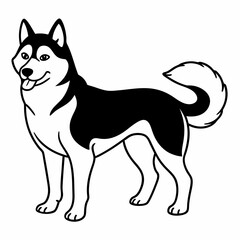 Siberian Husky dog vector illustration of a dog,animal,