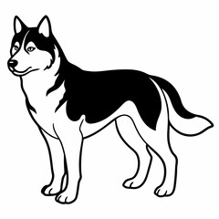 Siberian Husky dog vector illustration of a dog,animal,