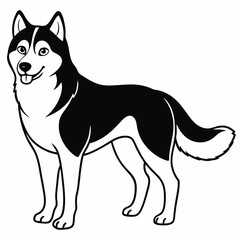 Siberian Husky dog vector illustration of a dog,animal,