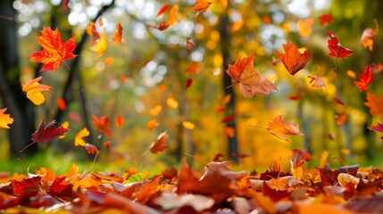Falling Leaves in Autumn Forest