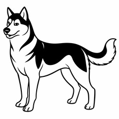 Siberian Husky dog vector illustration of a dog,animal,