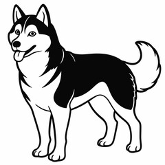 Siberian Husky dog vector illustration of a dog,animal,