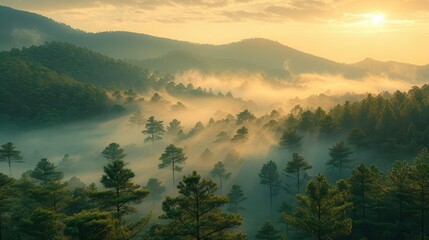 Misty Morning in the Mountains.