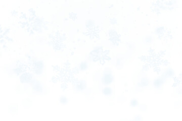 Fototapeta premium PNG Snowflakes backgrounds black background illuminated.