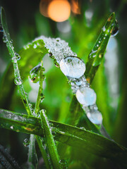 Gotas de lluvia