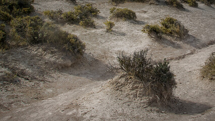 Punta norte beach landscap, peninsula valdes, chubut, argentina