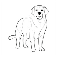 Golden Retriever Dog Coloring Book or page for Kids. Retriever Dog Vector illustration