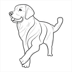 Golden Retriever Dog Coloring Book or page for Kids. Retriever Dog Vector illustration