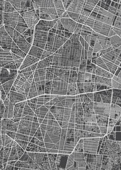 Naklejka premium City map Mexico City, monochrome detailed plan, vector illustration