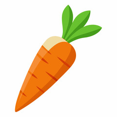 carrot vector art illustration   