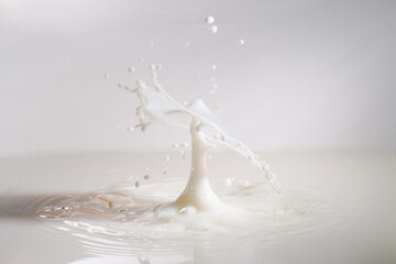 milk splash in a glass