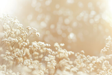 Beautiful white dried baby's breath flowers on a beige background, close-up, macro, romantic style, delicate texture, soft light, elegant composition