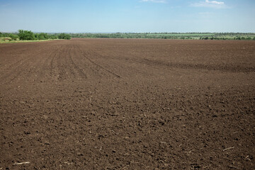 Cultivated field. Agronomy, farming, husbandry