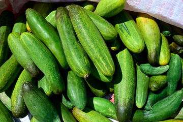 Fresh Green Cucumbers Piled Together

