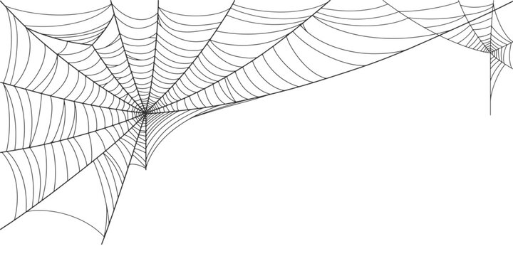 illustration of a spider web halloween frame, spider web vector eps