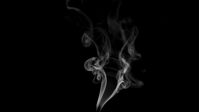 Natural white smoke on a black background in ProRes 422, 10 bit
