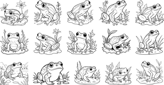 Wood Frog hand drawing coloring page and outline vector design