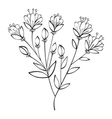 Autumn summer twig wild plant sprout with large flowers and stamens on stems leaves black line outline for decorative pattern. Flat doodle style. Vector illustration.