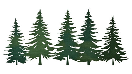 Obraz premium PNG Tree pine drawing plant.