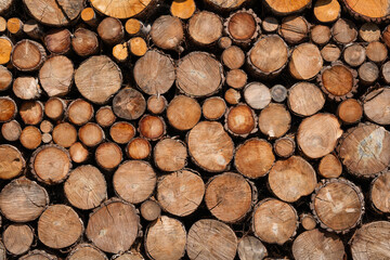 Pile of carefully stacked logs