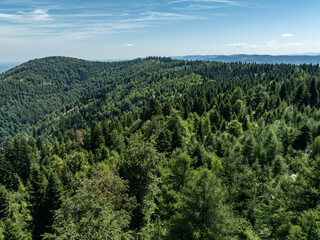 Obraz premium Stunning Aerial Drone View of Summer Green Forests in the Beskid Mountains, Bielsko Biala, Magurka Wilkowicka. Beskid summer mountains panorama.