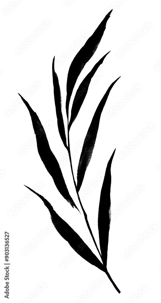 Poster png rosemary leave plant black leaf.