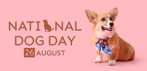 Cute Corgi on pink background. Banner for National Dog Day