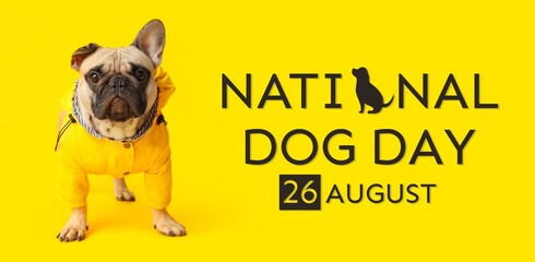 Cute bulldog on yellow background. Banner for National Dog Day
