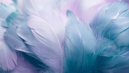 Obraz premium Colorful color soft feathers background