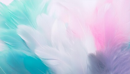 Obraz premium Colorful color soft feathers background