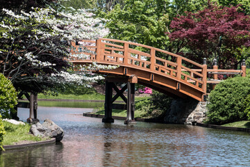 bridge over the lake