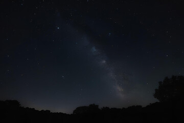 Fototapeta premium THE MILKY WAY