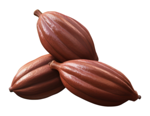 PNG Cocoa food white background ingredient.