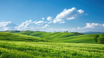 A large, lush green field with a clear blue sky. The sky is dotted with clouds, giving the scene a peaceful and serene atmosphere