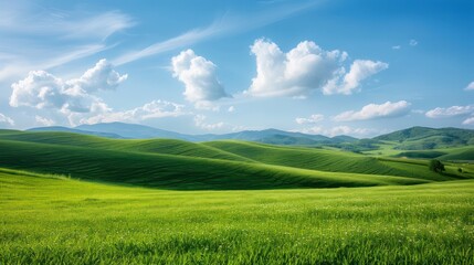Fototapeta premium A large, open field with a clear blue sky and fluffy clouds. The sky is dotted with clouds, and the sun is shining brightly. The field is lush and green, with a few trees scattered throughout